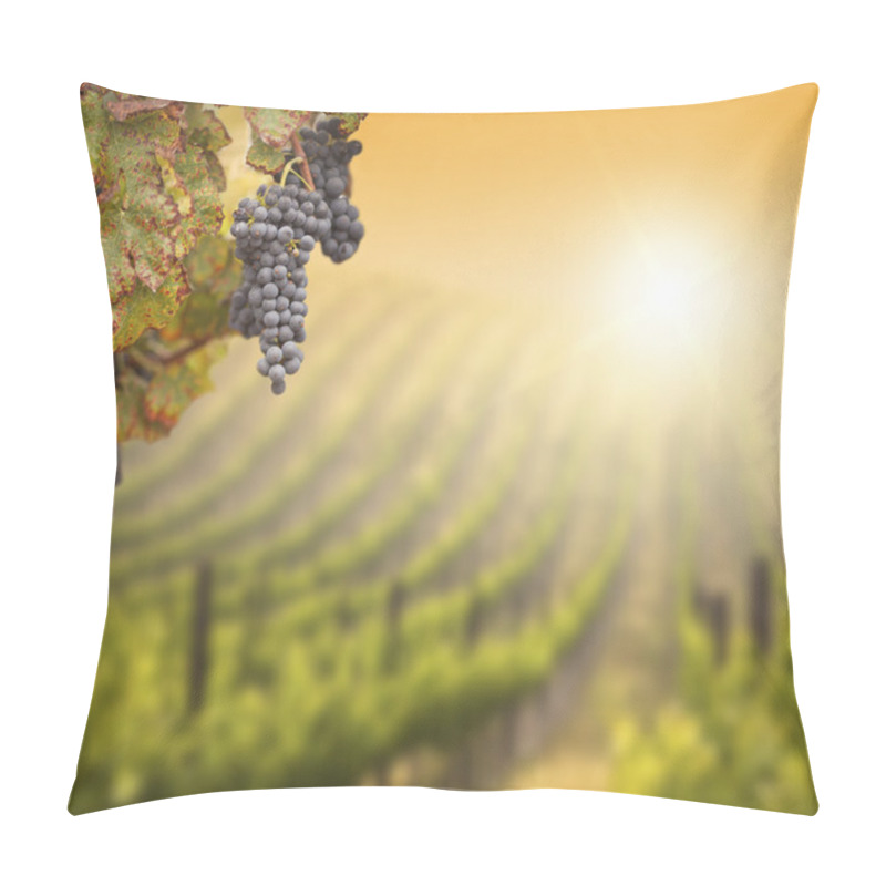 Personality  Lush Grape Vine With Blurry Vineyard Background Pillow Covers