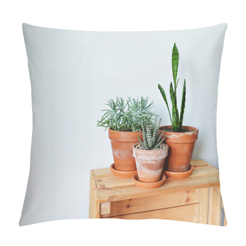 Personality  Green House Plants In Terracotta Pots And Wooden Box Over White  Pillow Covers