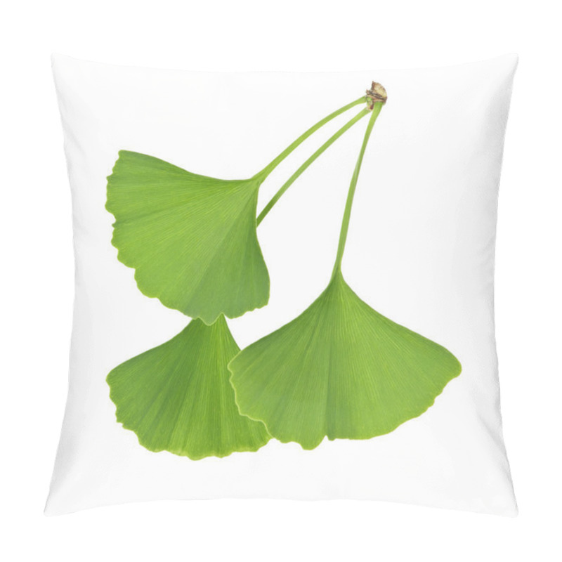 Personality  Ginkgo Biloba Leaves Pillow Covers