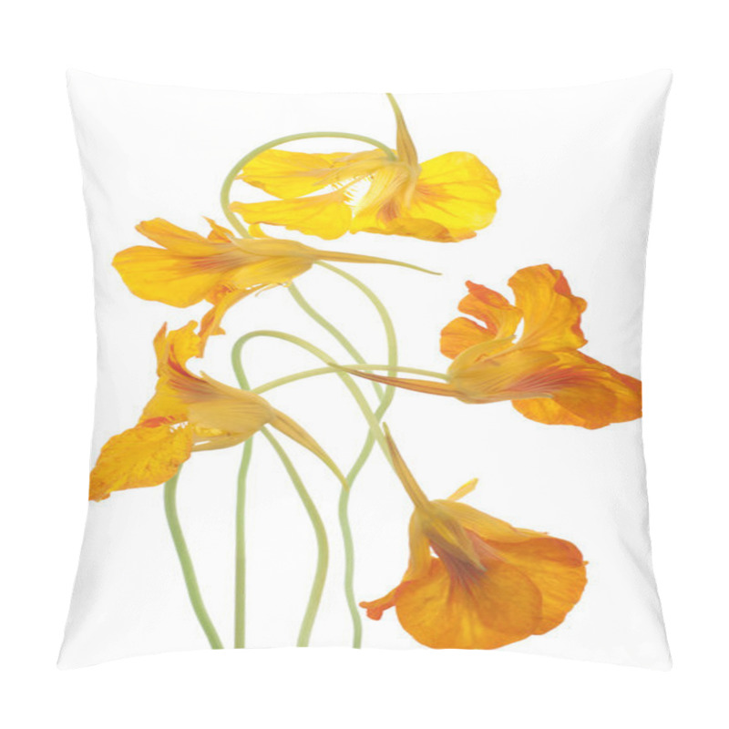 Personality  Nasturtium Pillow Covers