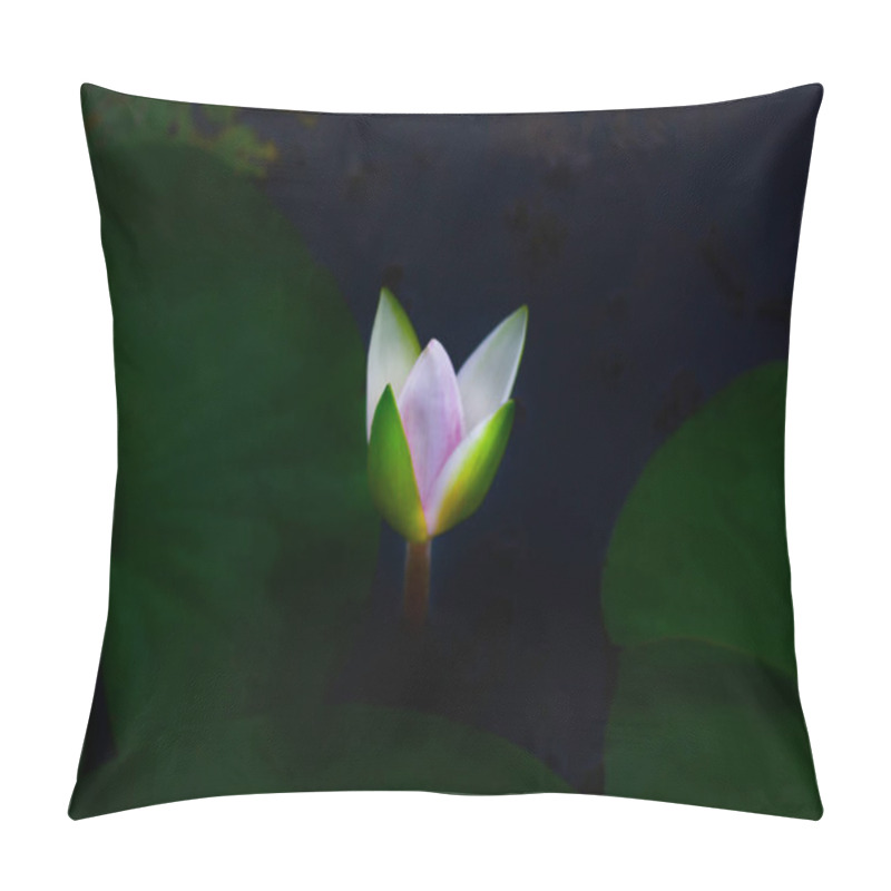 Personality  Pink Lotus On A Green Background Pillow Covers