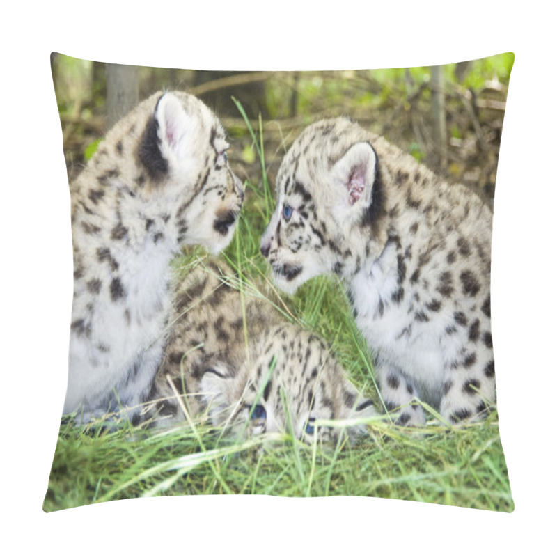 Personality  Snow Leopard Cubs Pillow Covers