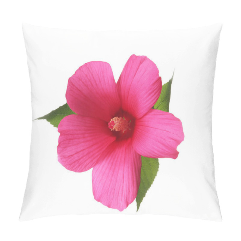 Personality  Beautiful Tropical Hibiscus Flower On White Background Pillow Covers