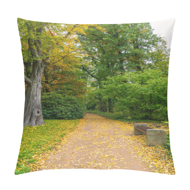 Personality  Autumn In Park.  A Path Among Trees. Bench For Vacationers.  Sunlight Illuminates  Trees And Gently Falls On Path.  A Beautiful Alley In  City Park With  First Yellow Leaves. Pillow Covers