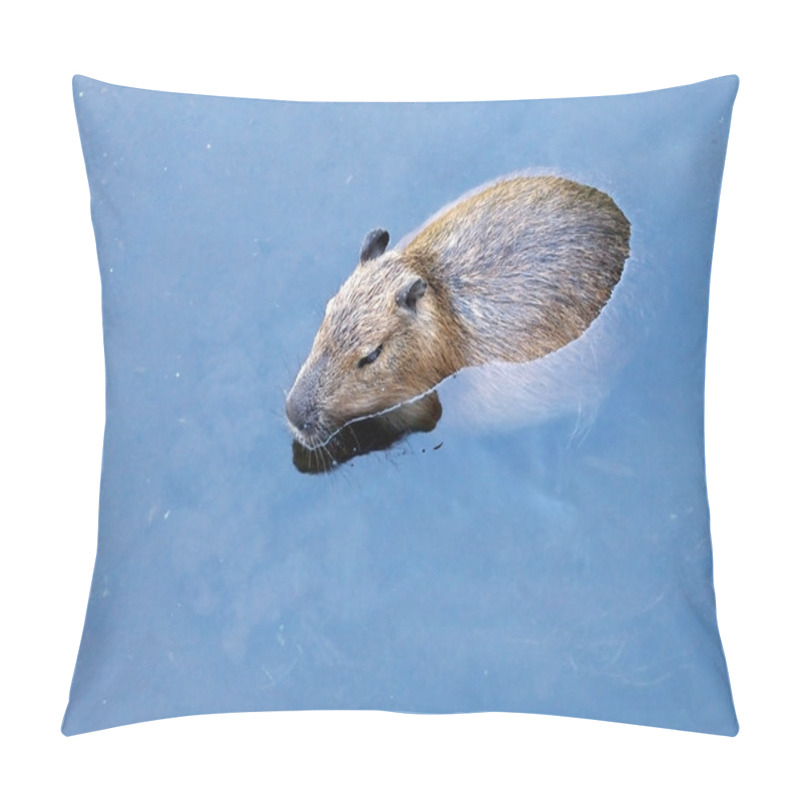 Personality  Close Up Of Capybara In Water Pillow Covers