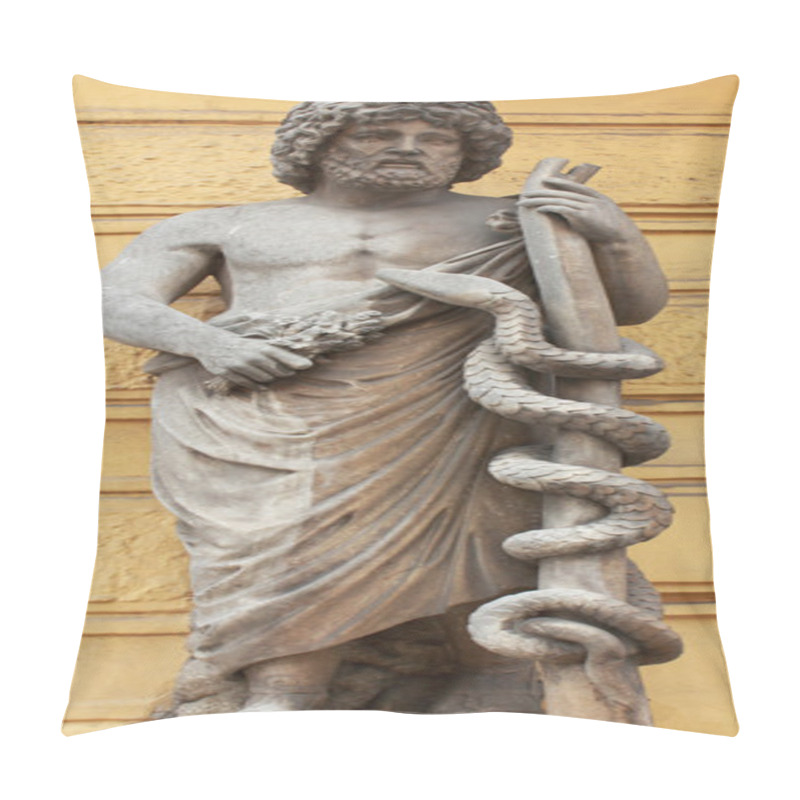 Personality  Greek God Asclepius Pillow Covers