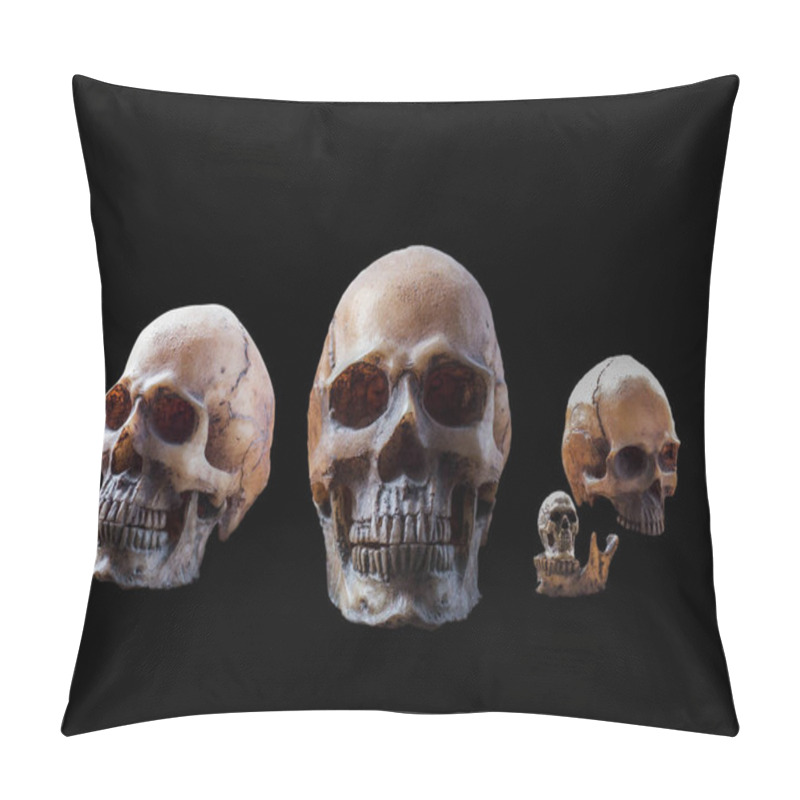 Personality  Many Skull With A Black Background. Pillow Covers