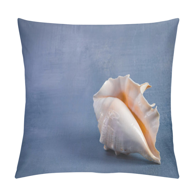 Personality  A Beautiful Wavy Seashell In An Ivory Tone Is Displayed On A Textured Dark Blue-gray Background, Emphasizing Its Natural Elegance And Intricate Design. Pillow Covers