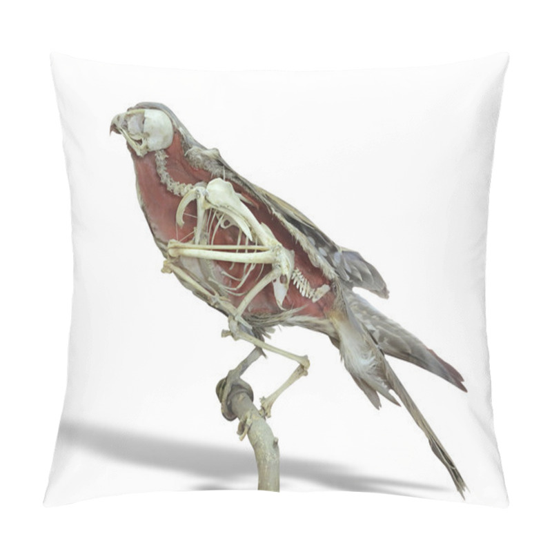 Personality  Stuffed Falcon Bird With Skeleton Inside Isolated Over White Pillow Covers