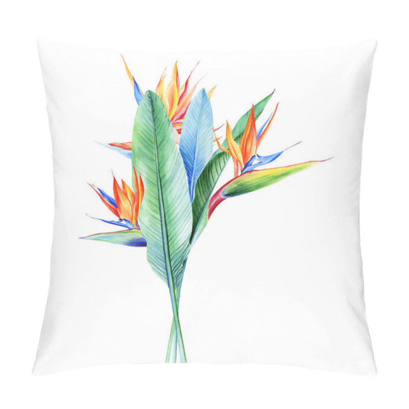 Personality  Watercolor Bouquets With Tropical Plants, Leaves And Strelitzia Flowers. Great For Valentines, Wedding Invites, Hawaii Birthday And Beach Party Pillow Covers