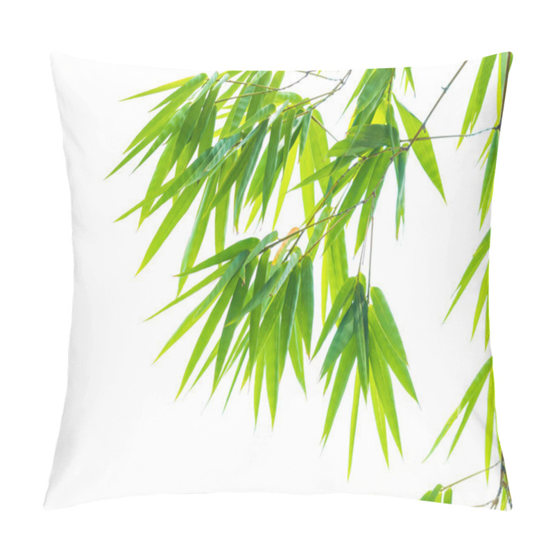 Personality  Fresh Green Bamboo Leaves In Nature Isolated Pillow Covers