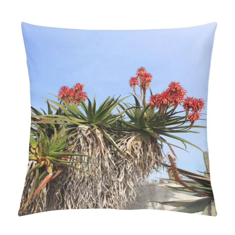 Personality  Blooming Aloe Vera Plant Pillow Covers