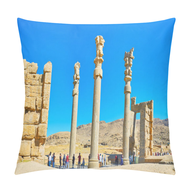 Personality  Panorama Of All Nations Gate Persepolis, Iran Pillow Covers