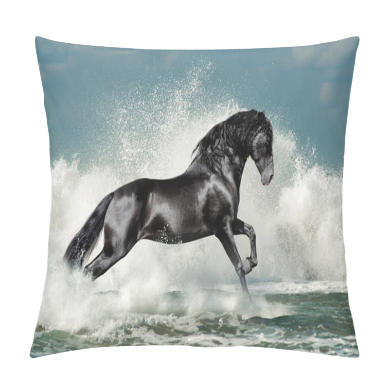 Personality  Black Andalusian Stallion And Sea Wave Pillow Covers