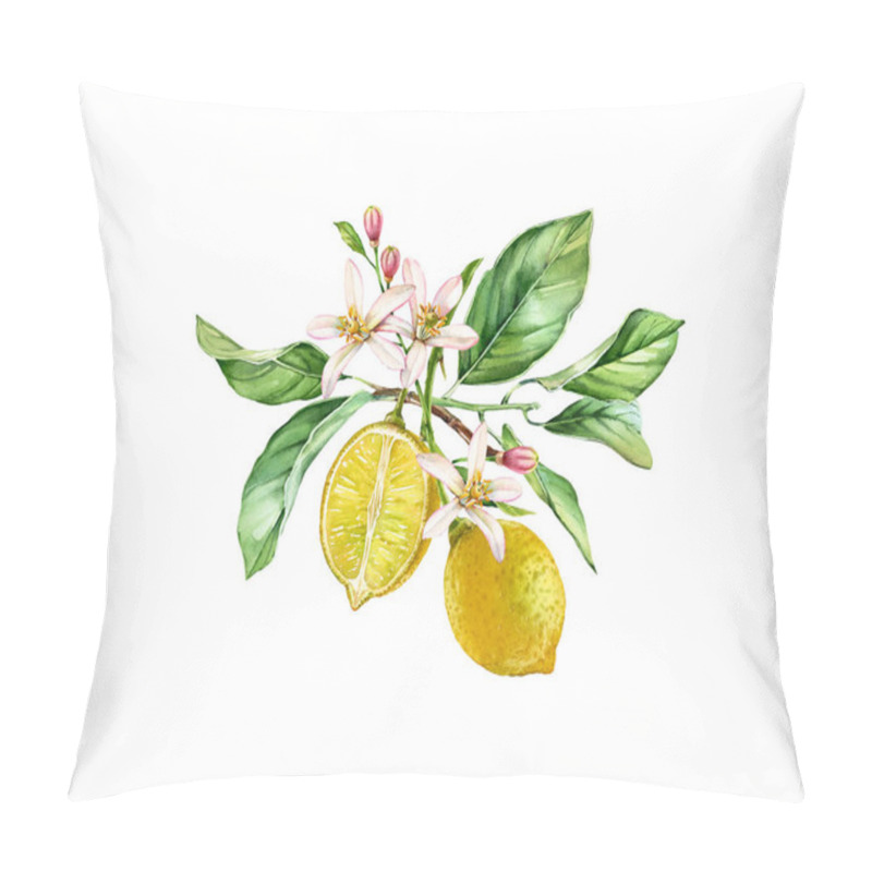 Personality  Watercolor Lemon Tree. Realistic Branch With Two Fruits, Flowers, Leaves. Botanical Illustration. Isolated Artwork On White. Hand Drawn Fresh Tropical Food Pillow Covers