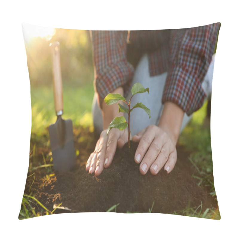 Personality  Woman Planting Young Tree In Garden, Closeup Pillow Covers