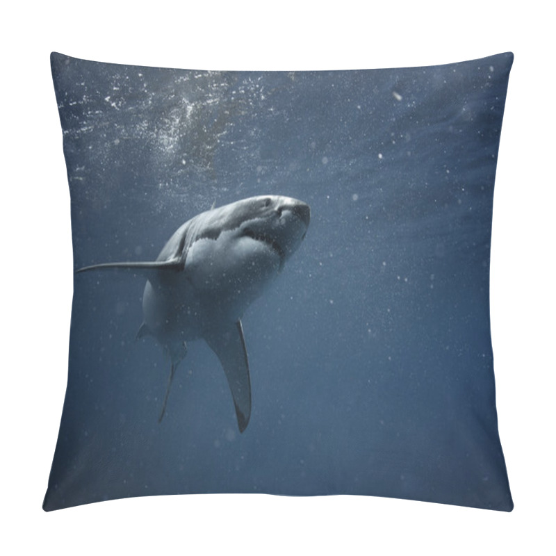 Personality  Great White Shark In Pacific Ocean Closeup Portrait Pillow Covers