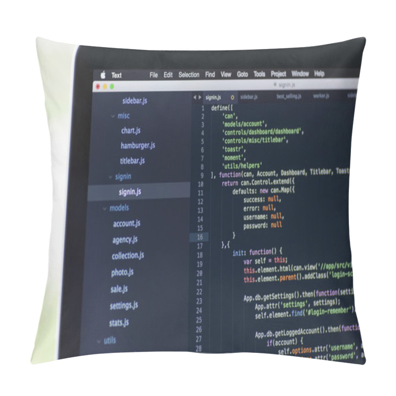 Personality  Software Project Using Javascript Pillow Covers