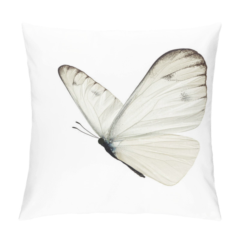 Personality  Beautiful White Butterfly Pillow Covers