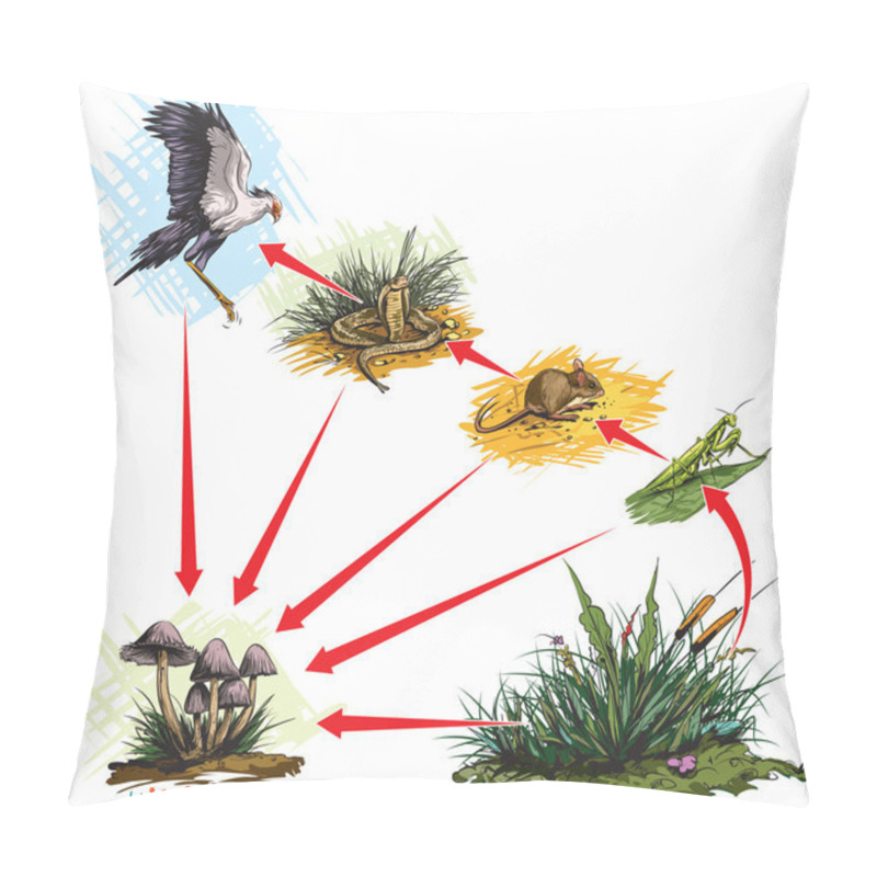 Personality  Food Chain Pillow Covers