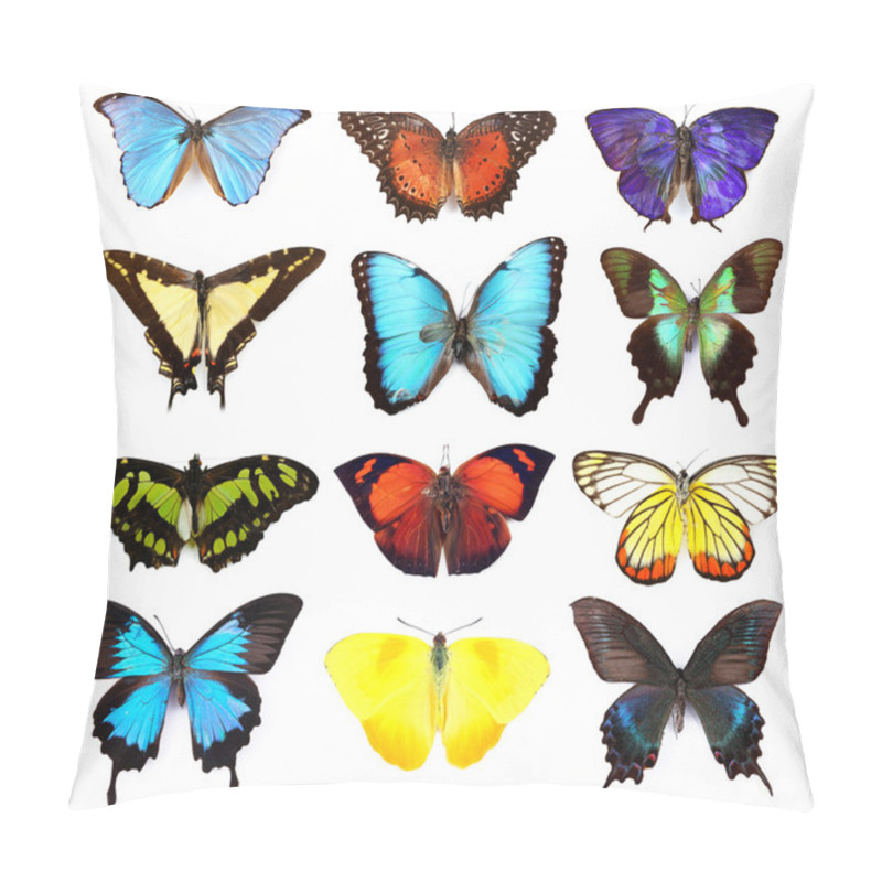 Personality  Butterflies Collection, Isolated Pillow Covers