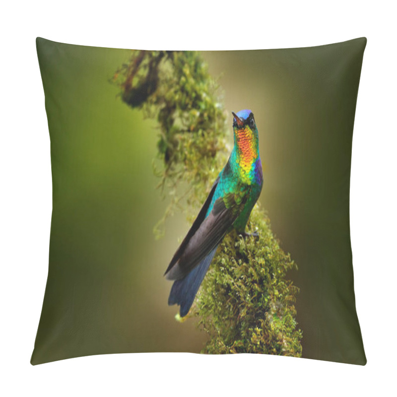 Personality  Fiery Throated Hummingbird   Pillow Covers