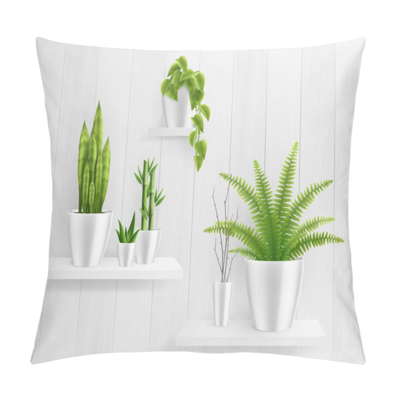 Personality  House Plants In Pot On Shelves Realistic Composition Pillow Covers