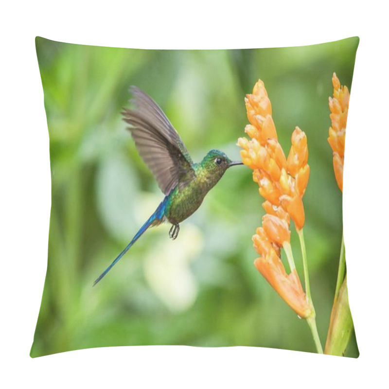 Personality  Violet-tailed Sylph Hovering Next To Orange Flower,tropical Forest, Ecuador, Bird Sucking Nectar From Blossom In Garden,beautiful Hummingbird With Outstretched Wings,nature Wildlife Scene Pillow Covers