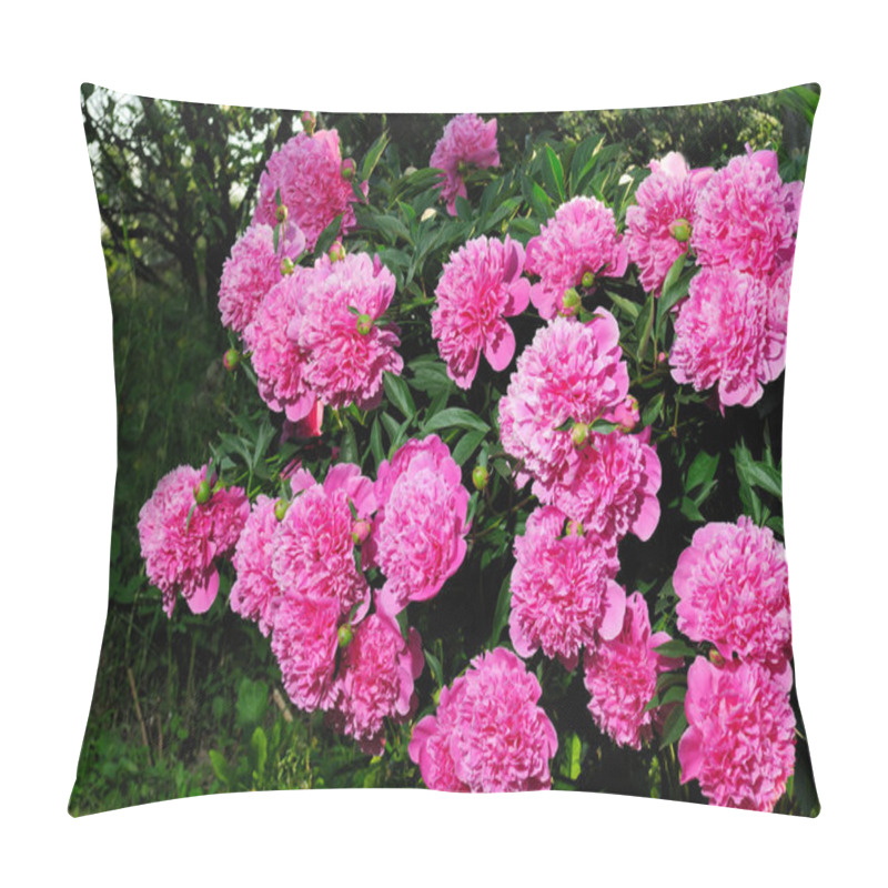 Personality  Pink Peony Bush Pillow Covers