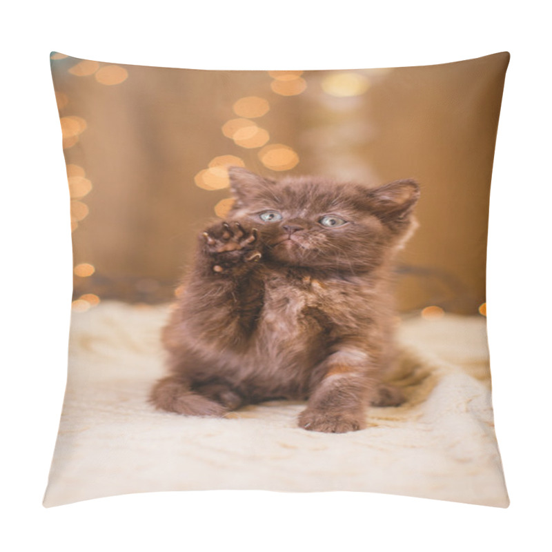 Personality  British Kitten, Christmas And New Year Pillow Covers