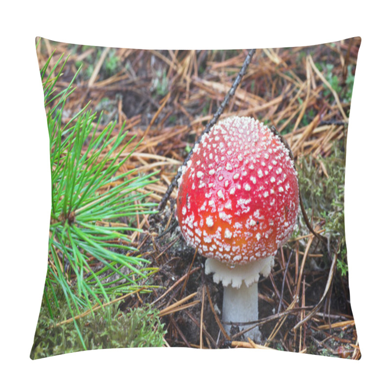 Personality  Beautiful Mushroom Amanita With A Red Hat And White Speckled Gro Pillow Covers