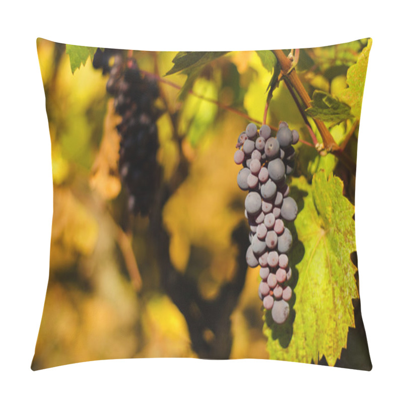 Personality  Ripe Grapes In Fall Pillow Covers