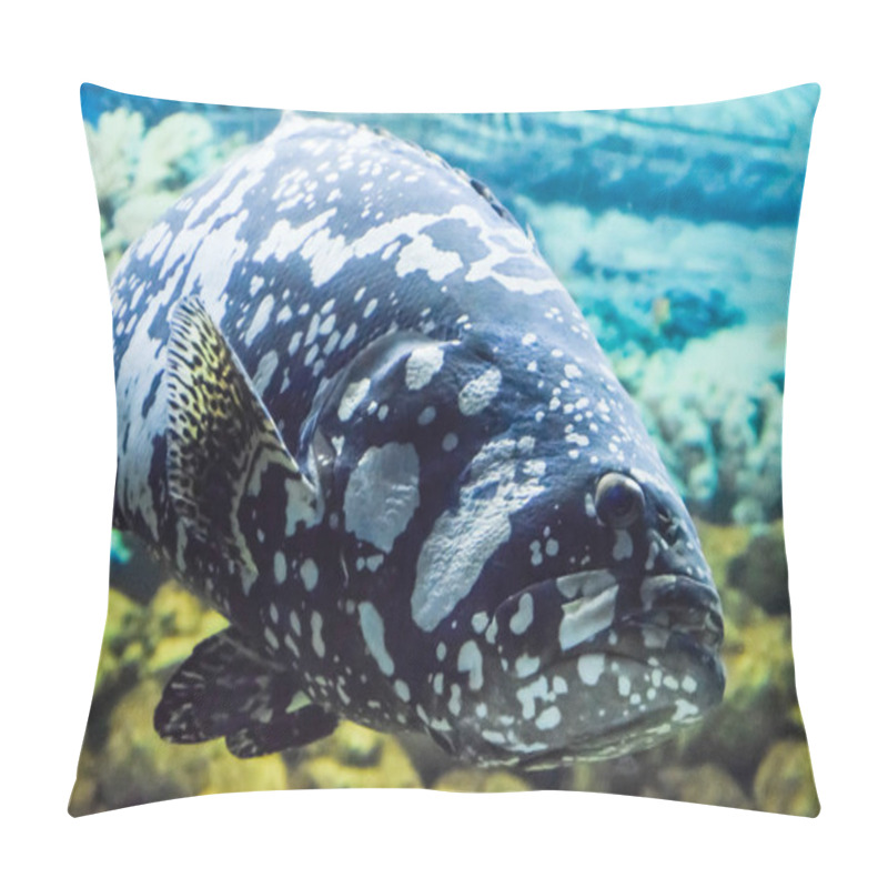 Personality  A Giant Grouper Humpback Grouperpanther Grouper Humpback Grouper Pillow Covers