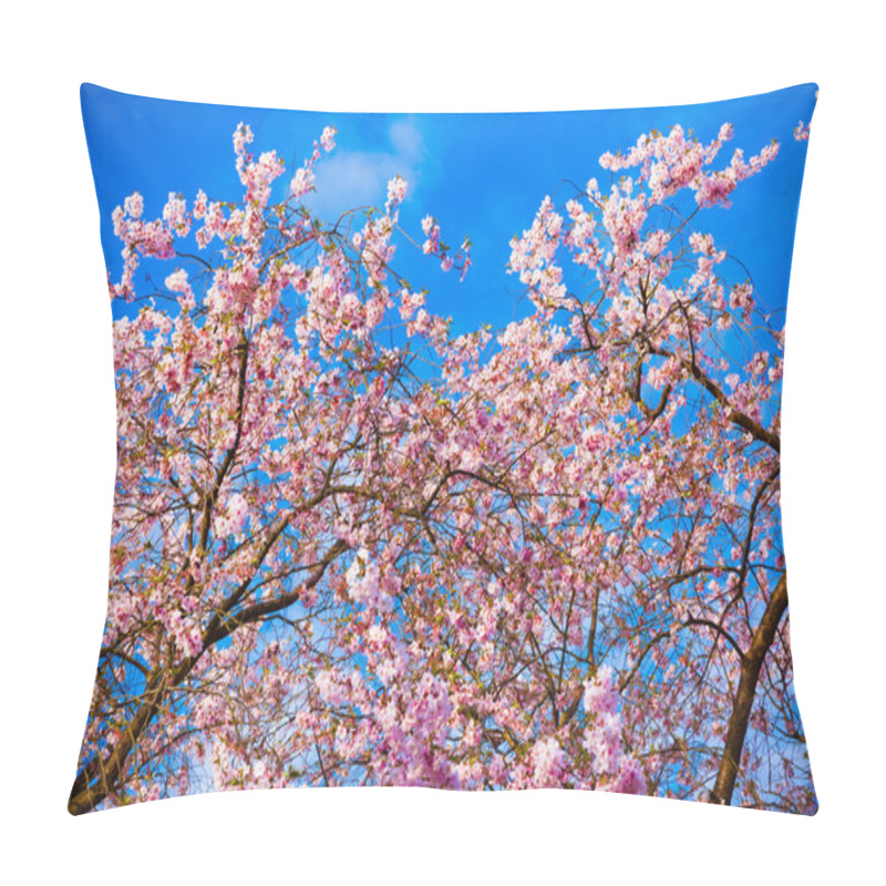 Personality  Sakura Flowers Blooming. Beautiful Pink Cherry Blossom Pillow Covers