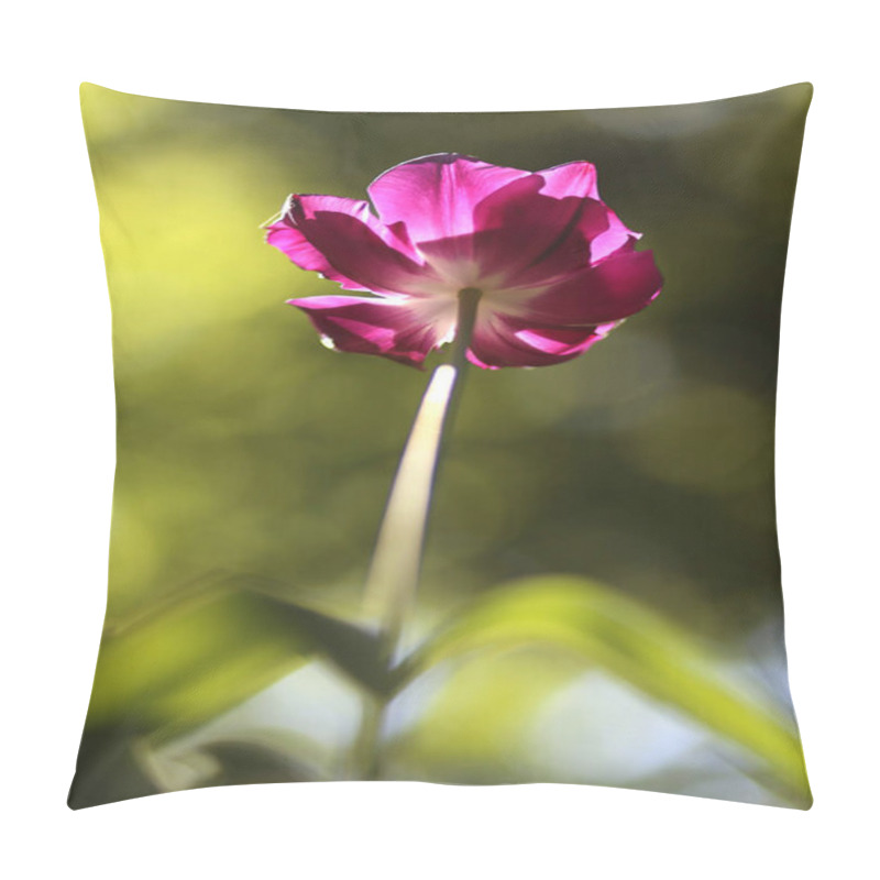 Personality  Close Up Of Blooming Beautiful Tulip Flowers Springtime On Natural Green Background Pillow Covers