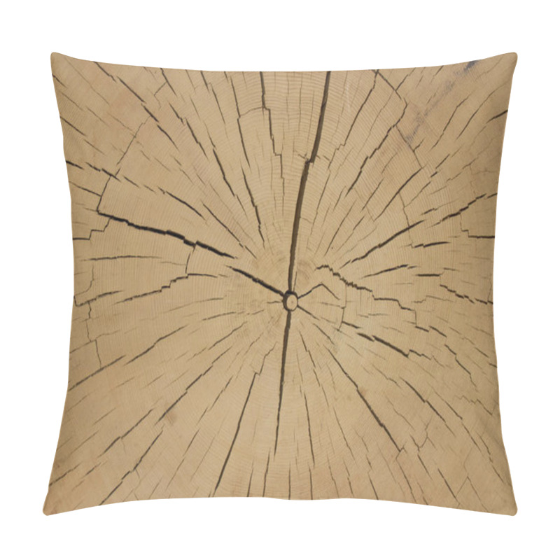 Personality  Cutting Of Ancient Wood. Pillow Covers