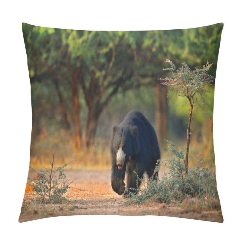 Personality  Sloth Bear, Melursus Ursinus, Ranthambore National Park, India. Wild Sloth Bear Nature Habitat, Wildlife Photo. Dangerous Black Animal In India. Wildlife Asia. Bute Animal On The Road Asia Forest. Pillow Covers