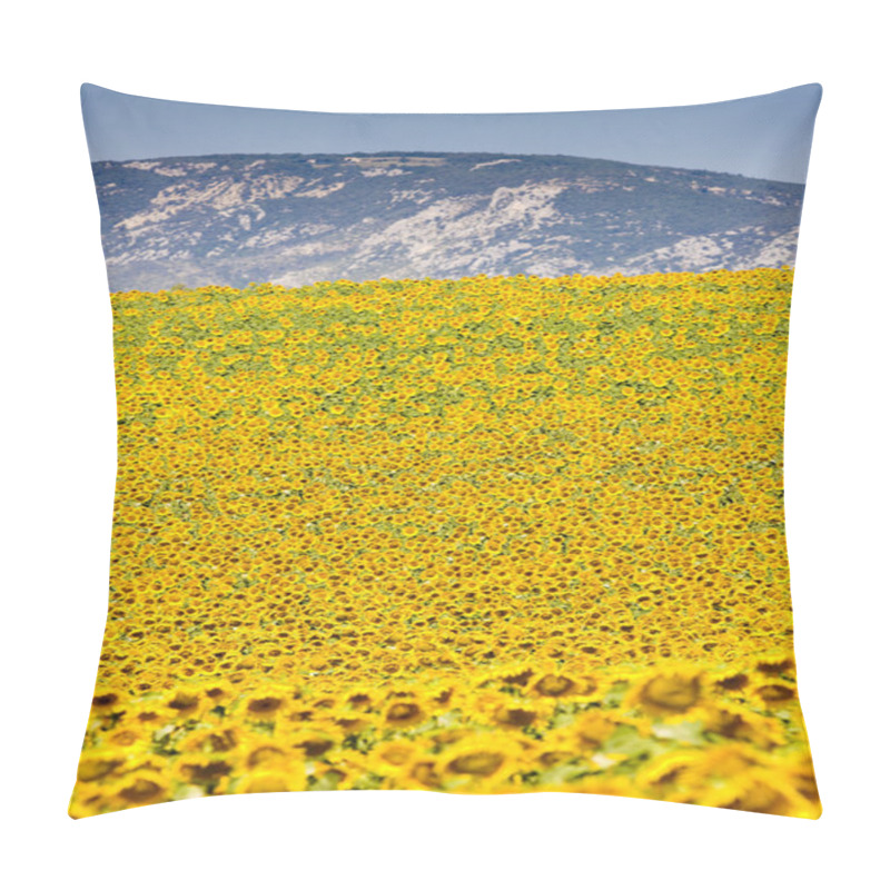 Personality  Sunflowers Pillow Covers