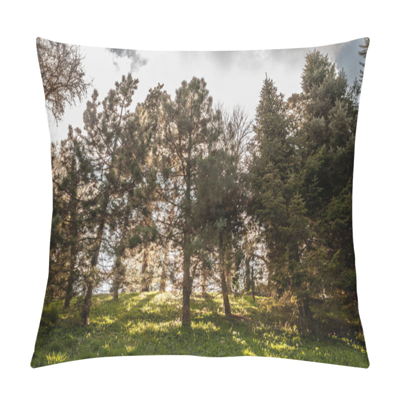 Personality  Pine Trees (or Fir Trees) Silhouetted Against The Light At Sunrise. The Image Captures The Natural Beauty Of Pine Forests And The Serene Atmosphere Of The Early Morning In Serbia. Pillow Covers