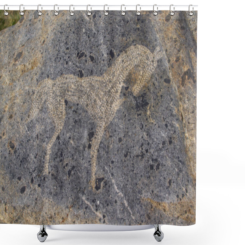 Personality  Horse - Primitive Art Draving On Stone Shower Curtains