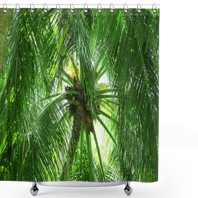 Personality  Green Leaves Of Exotic Palms Shower Curtains