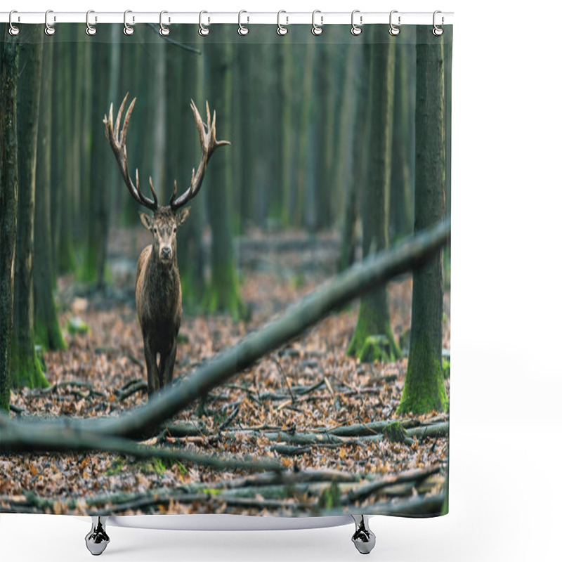 Personality  Deer Walking Towards Camera Shower Curtains