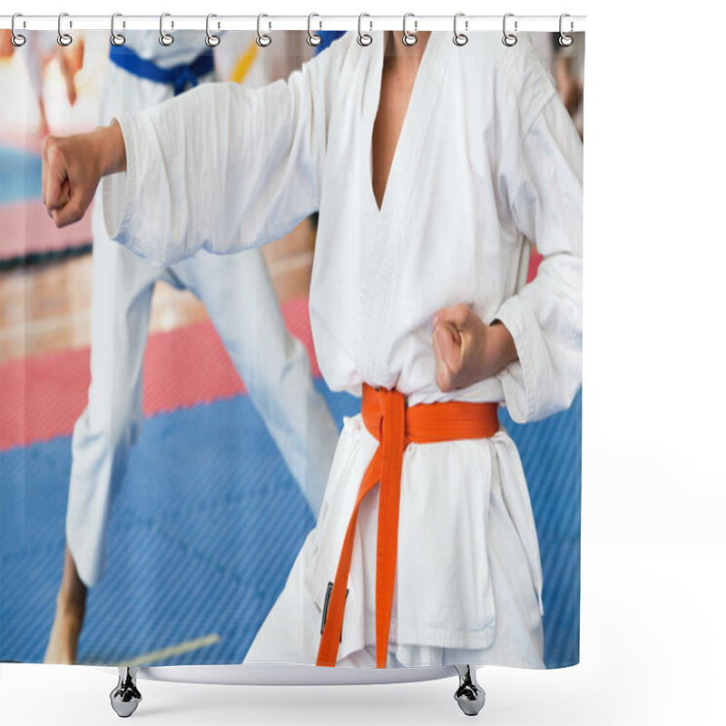 Personality  Karate Shower Curtains