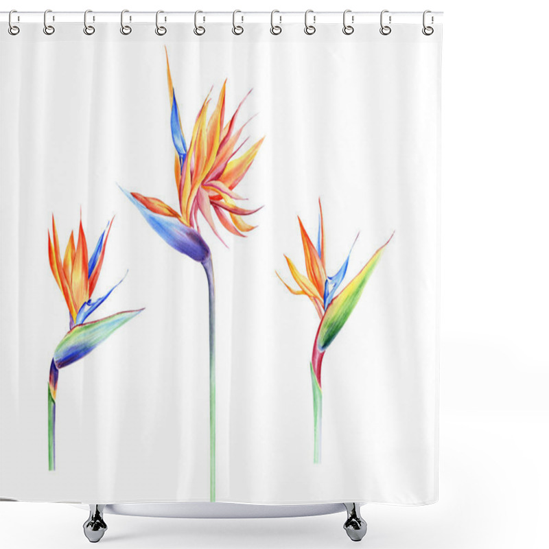 Personality  Watercolor Isolated Tropical Leaves And Flowers - Banana, Palm , Strelitzia. Great For Hawaii Wedding, Beach Party, Tropical Wedding Invites Shower Curtains