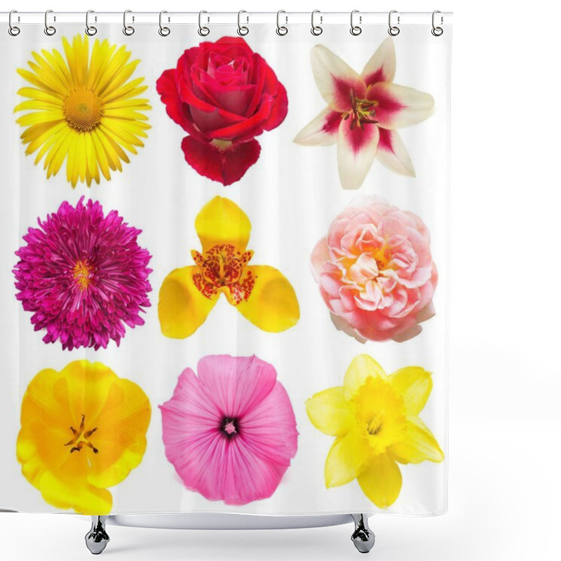 Personality  Flowers Collection Of Assorted Chrysanthemum, Tigridia, Mallow,  Shower Curtains