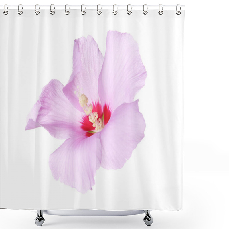 Personality  Beautiful Tropical Hibiscus Flower On White Background Shower Curtains