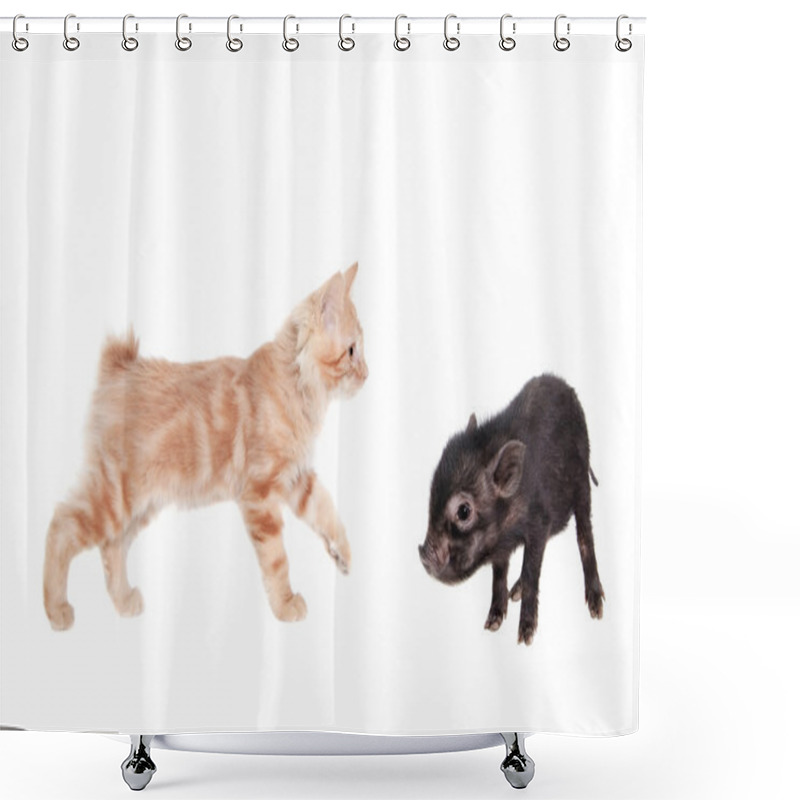 Personality  Vietnamese Pig Baby With Red Kitten On White Shower Curtains