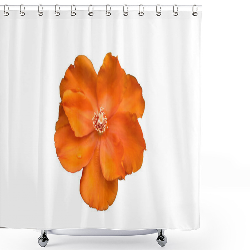 Personality  Flowers Bloom Isolated On White Background Shower Curtains