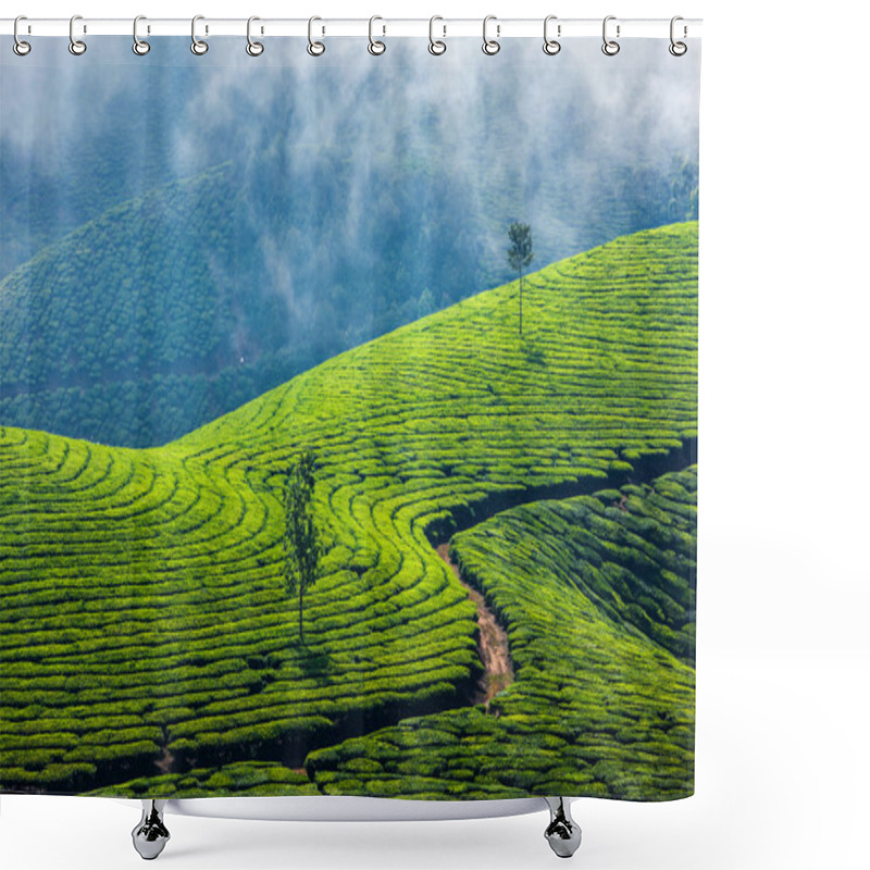 Personality  Green Tea Plantations In Munnar, Kerala, India Shower Curtains