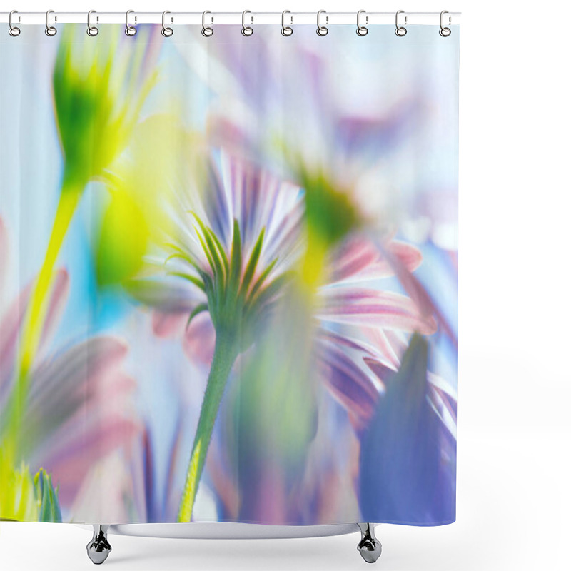 Personality  Spring Flowers Background Shower Curtains